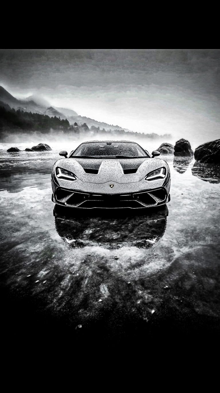 black_lambo_171