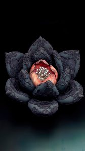 20241222-flower_cloth_018