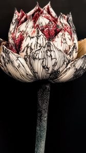 20241222-flower_cloth_029